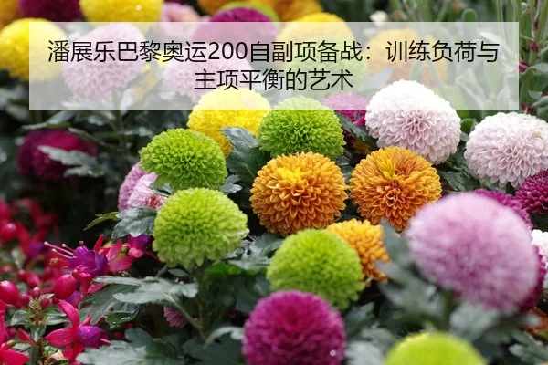 潘展乐巴黎奥运200自副项备战：训练负荷与主项平衡的艺术