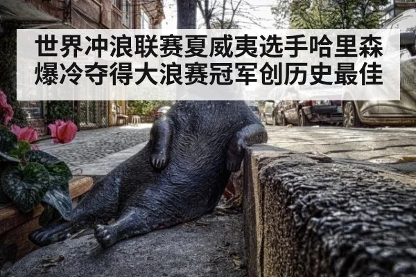 世界冲浪联赛夏威夷选手哈里森爆冷夺得大浪赛冠军创历史最佳
